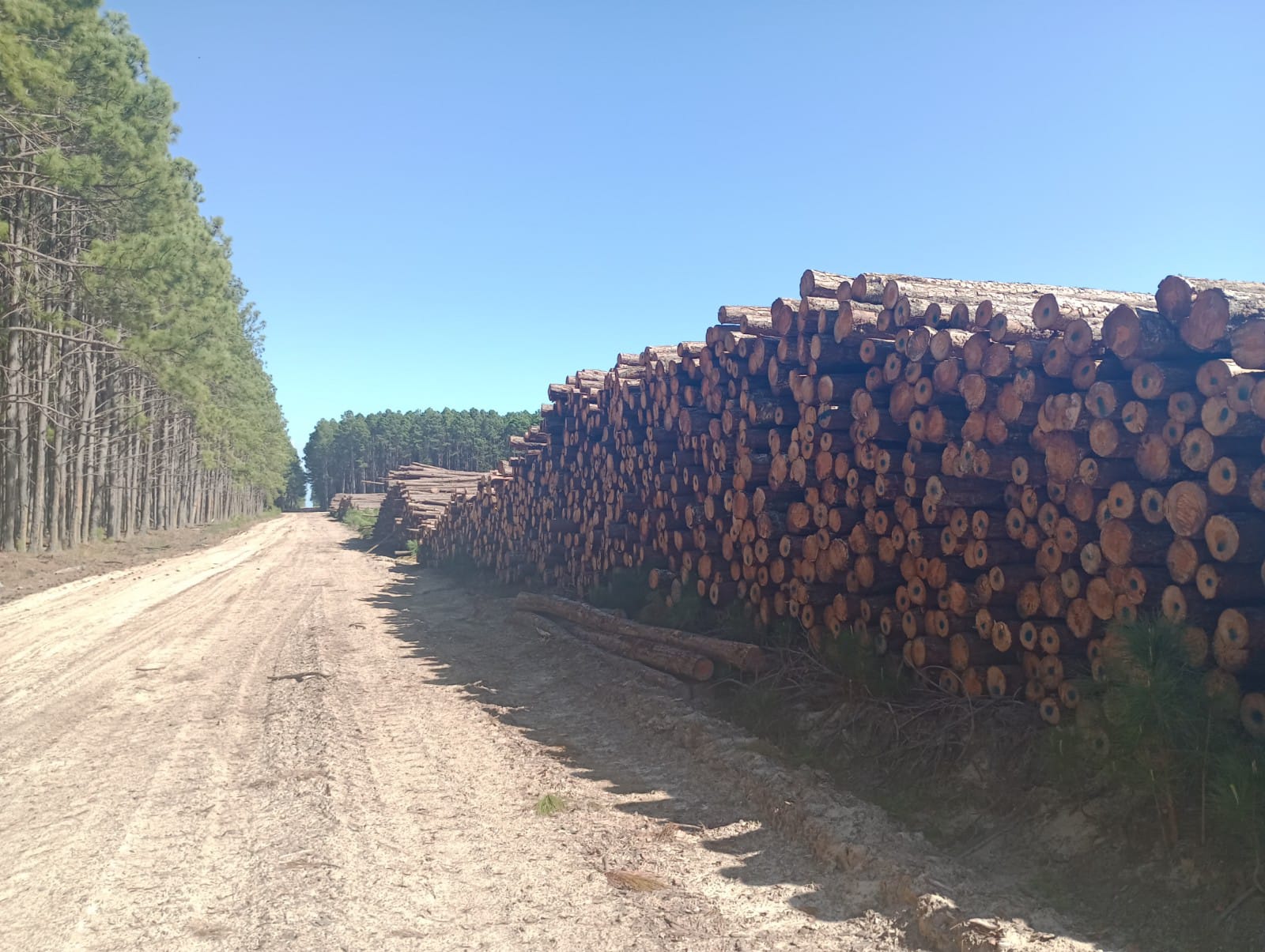 WhatsApp Image 2024-07-06 at 16.29.19.jpeg