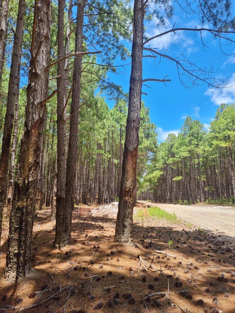 WhatsApp Image 2024-07-06 at 16.29.15.jpeg