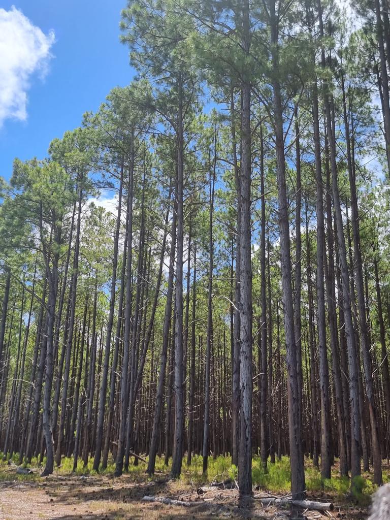 WhatsApp Image 2024-07-06 at 16.29.16 (1).jpeg