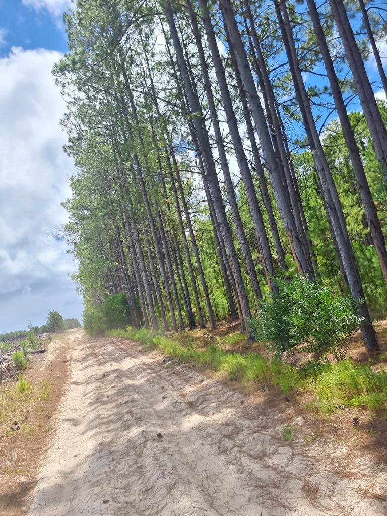 WhatsApp Image 2024-07-06 at 16.29.18 (1).jpeg